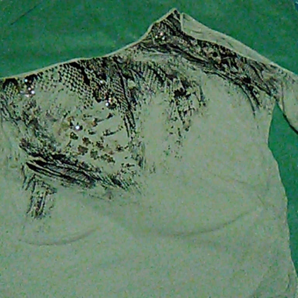 Baby Phat top
